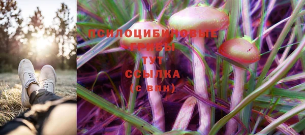 таблы Белокуриха