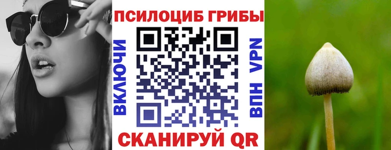 Галлюциногенные грибы мицелий  Купить закладки  Наволоки 